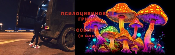 СК Богданович
