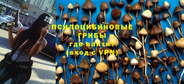 прущая мука Богородск