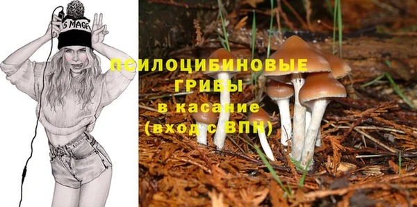 СК Богданович