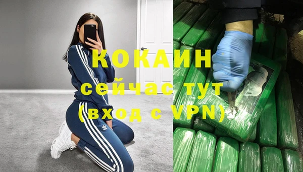 бошки Белокуриха
