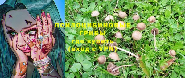 СК Богданович