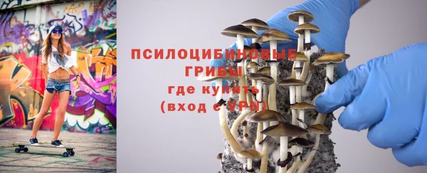 марки lsd Богородицк