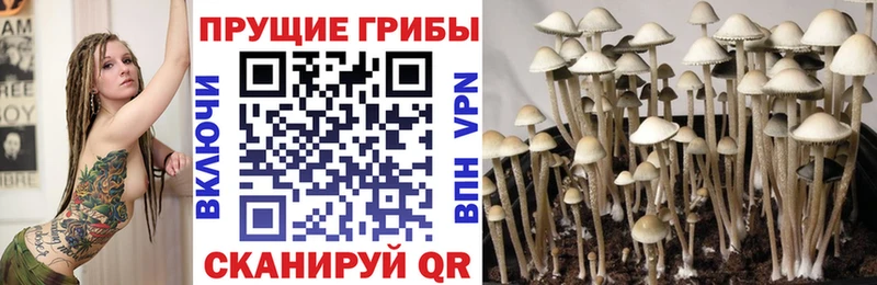 Галлюциногенные грибы прущие грибы  купить наркоту  Онега 